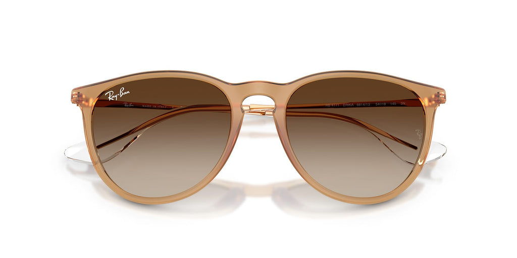 Ray-Ban Erika RB 4171 6814/13 - As Seen On David Warner
